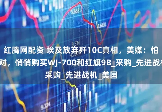 红腾网配资 埃及放弃歼10C真相，美媒：怕美欧反对，悄悄购买WJ-700和红旗9B_采购_先进战机_美国